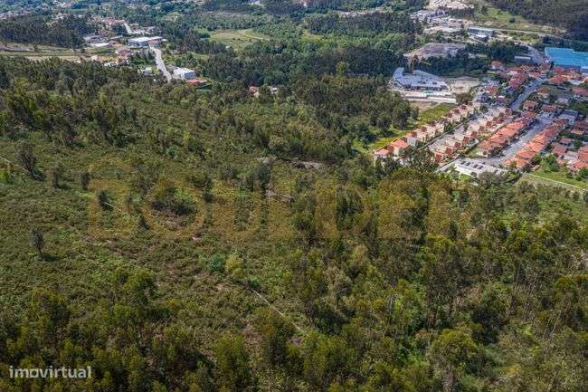 Terreno Florestal em Póvoa de Lanhoso-6