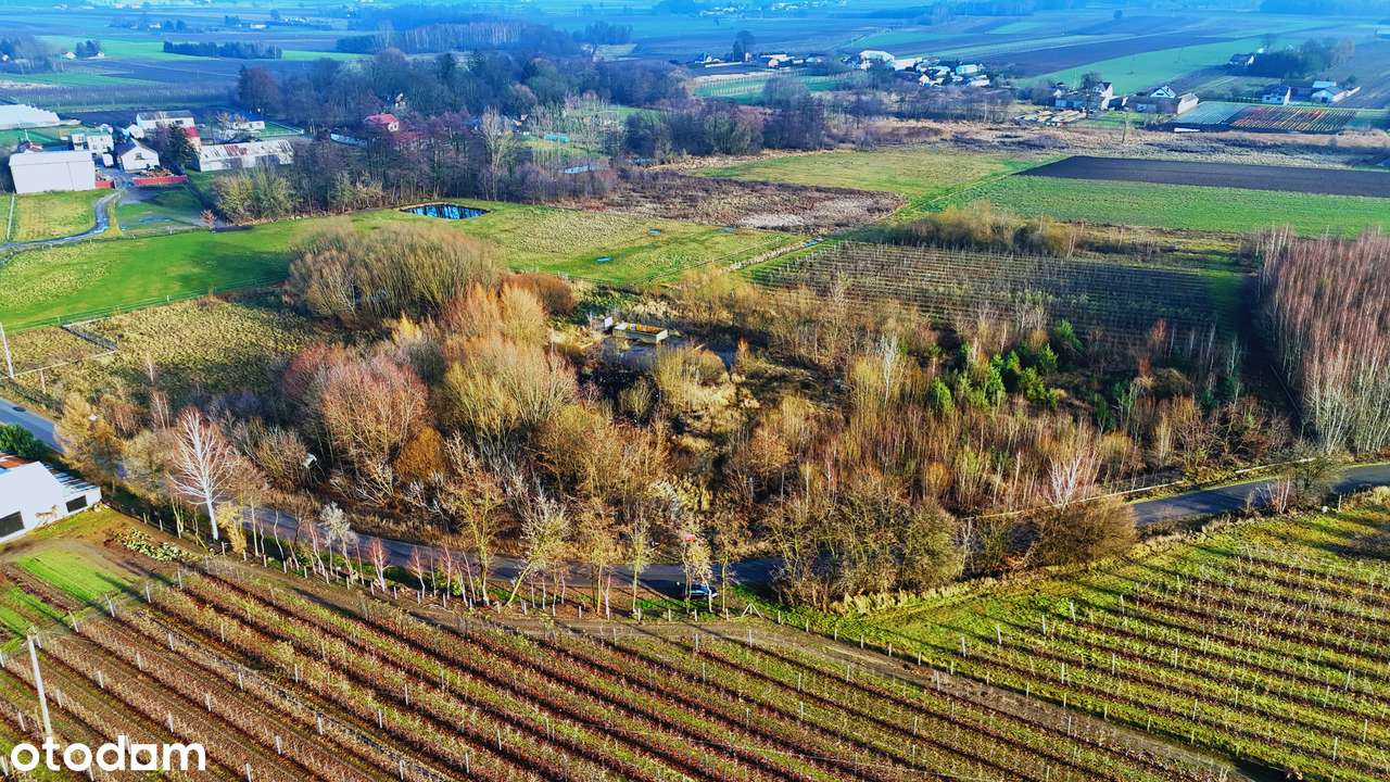 Gotowa pod inwestycję! Uzbrojona działka 1,9 ha pod produkcję,magazyny - Pełny obrazek: 5/12