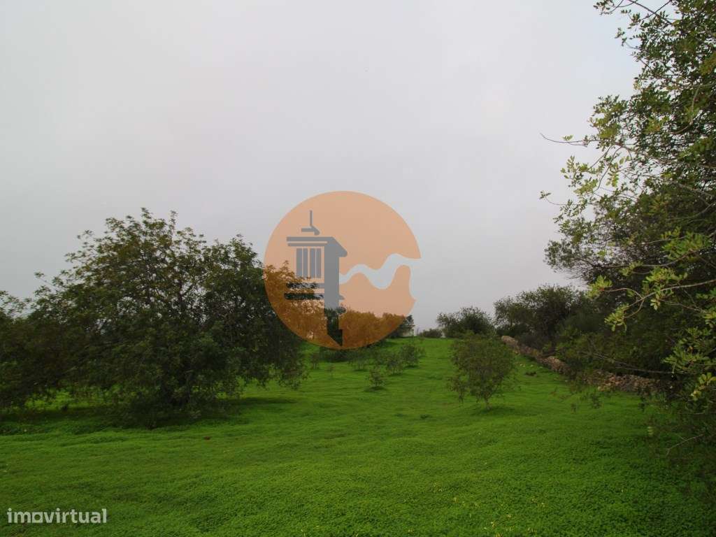 Terreno para turismo rural 5 estrelas com 120 quartos e 240 camas - Grande imagem: 5/22