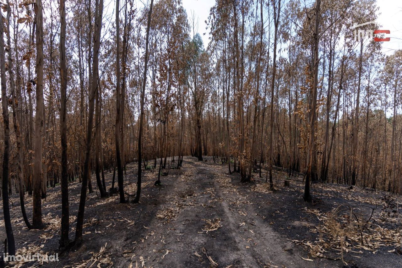 Terreno Rustico, Caranguejeira