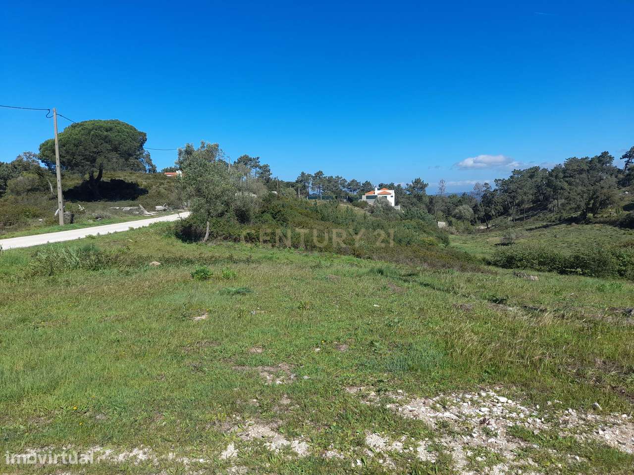 Terreno - Massapés - Grande imagem: 2/4