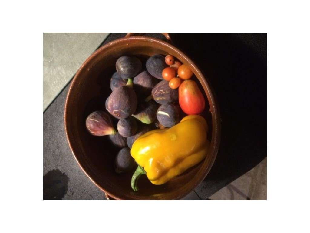 Moradia tipologia T2-23