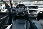 Mercedes-Benz ML 250 BlueTEC 4MATIC 7G-TRONIC - 18