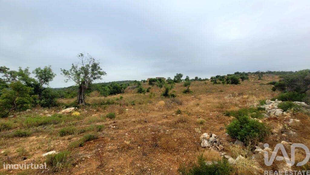 Casa de Campo T2 em Paderne de 118,00 m2 - Grande imagem: 4/5