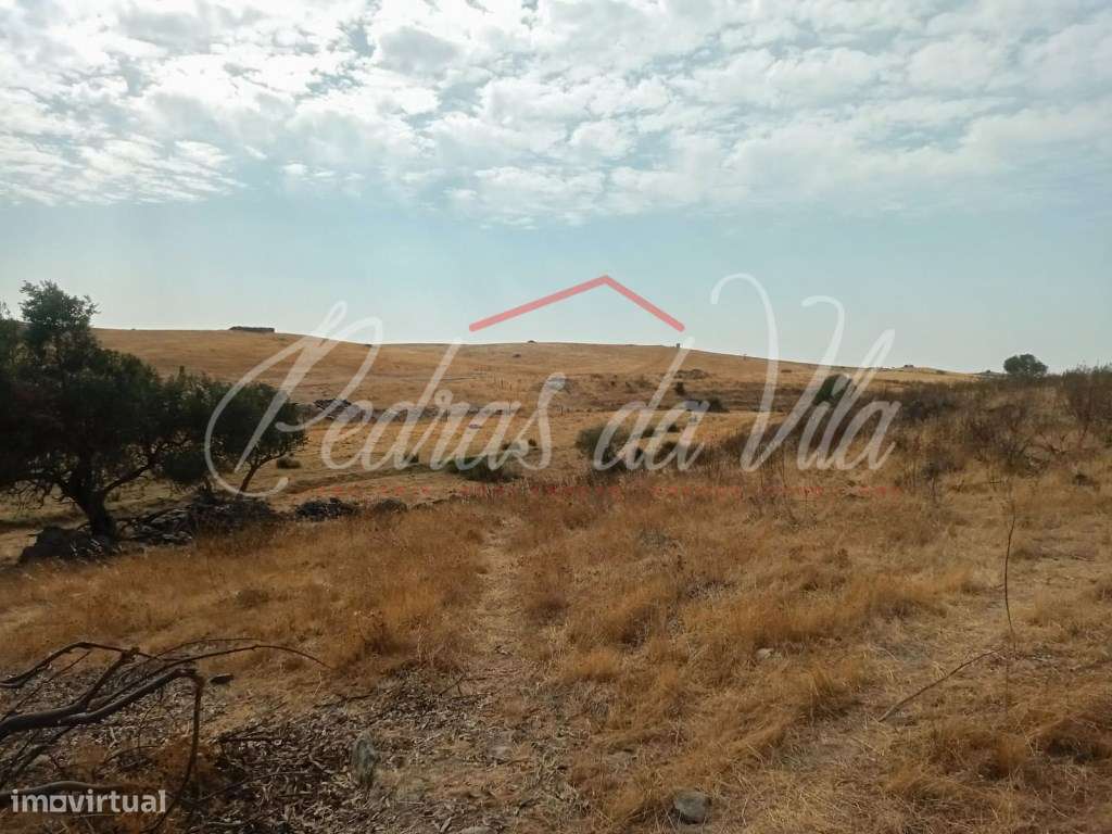 Propriédade de 119ha com varias ruinas - Castro Verde-26