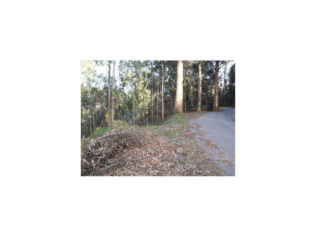 Terreno de Construção em Serdedelo - Grande imagem: 4/6