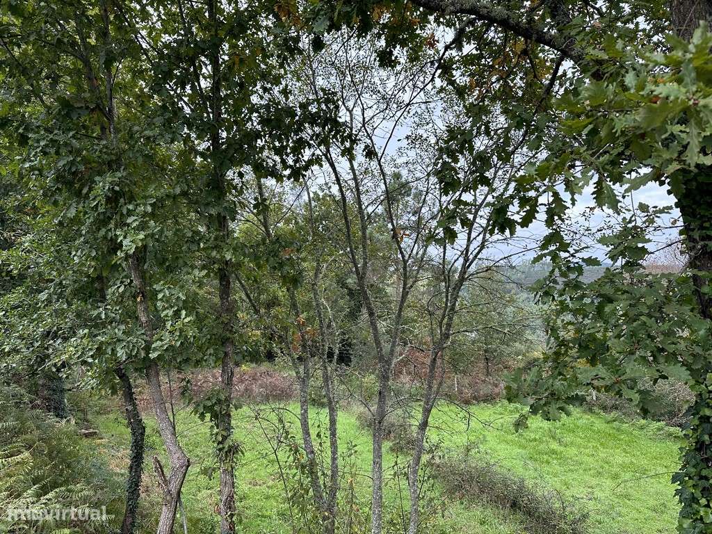 Terreno em Arganil, Arganil - Grande imagem: 4/9