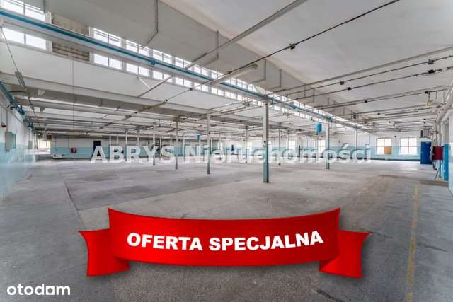 Hala na sprzedaż, Bartoszyce - Pełny obrazek: 5/12