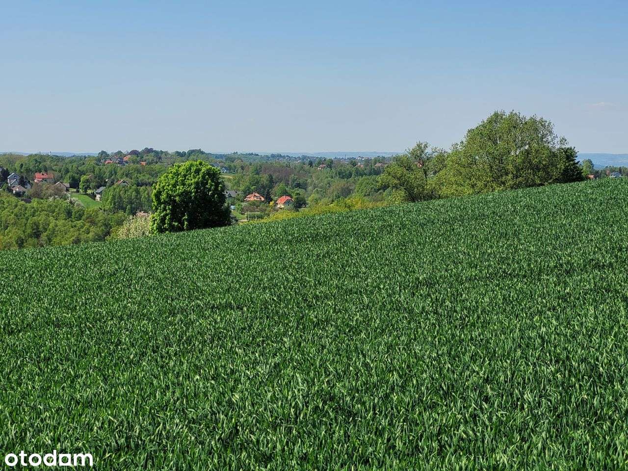 działka 12 arów | widokowa | MPZP - Pełny obrazek: 4/8