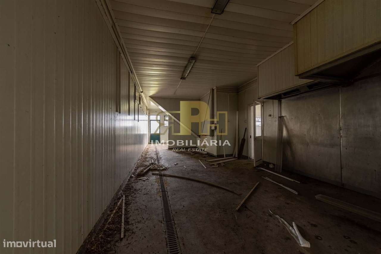 Armazém T6 Venda em Alcanhões,Santarém-30