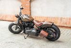 Harley-Davidson Softail - 5