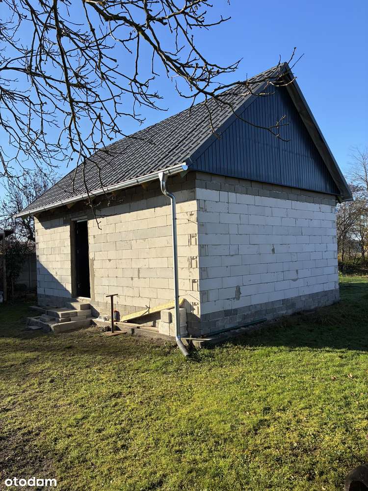 Działka  z domkiem idealna pod pasiekę i nie tylko-Pałck woj. Lubuskie - Pełny obrazek: 4/4