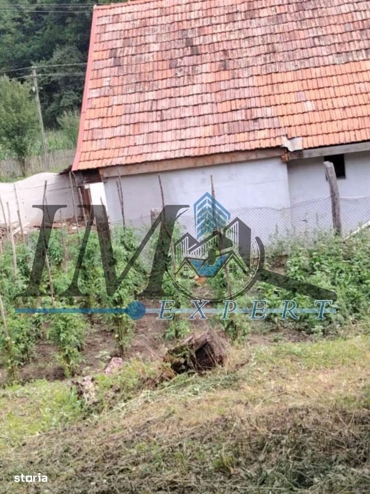 Casa veche in Blandiana - Imagine principală: 5/6