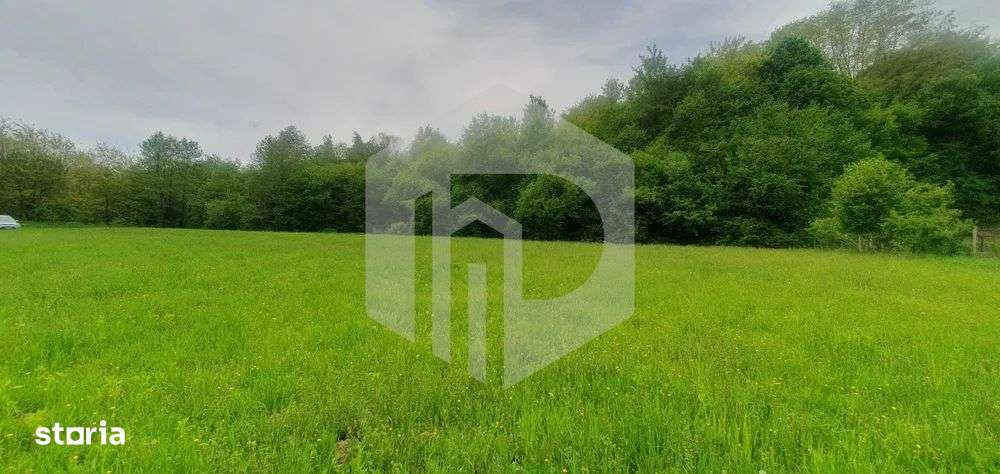 Teren Intravilan Valea Avrigului- 839 mp-Raul in fata terenului - Imagine principală: 5/7