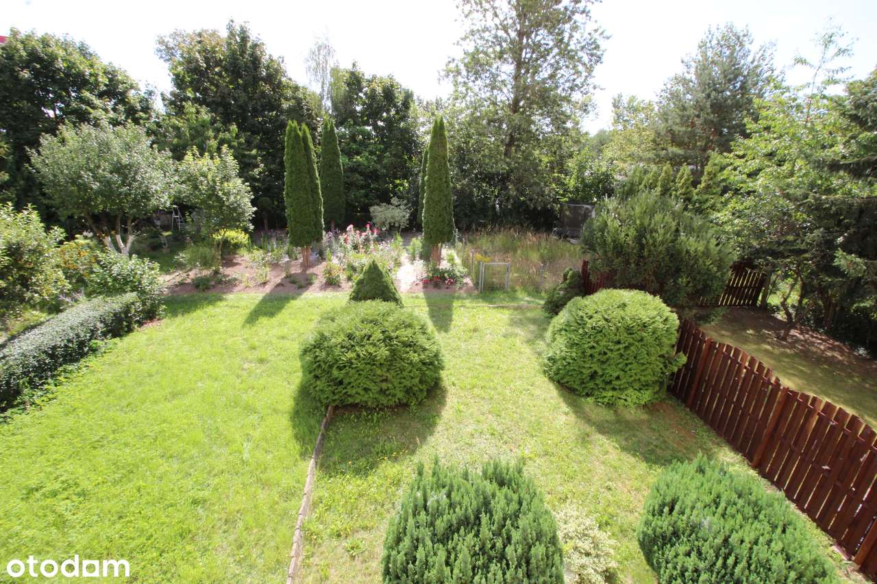 3 pokoje 60 m2 1 piętro niski blok os. Górczyn - Manhattan - Pełny obrazek: 3/13