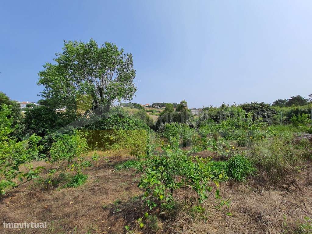 Terreno Misto em zona Urbana com 5.625m2 em Caeiro - Mafra - Grande imagem: 3/5