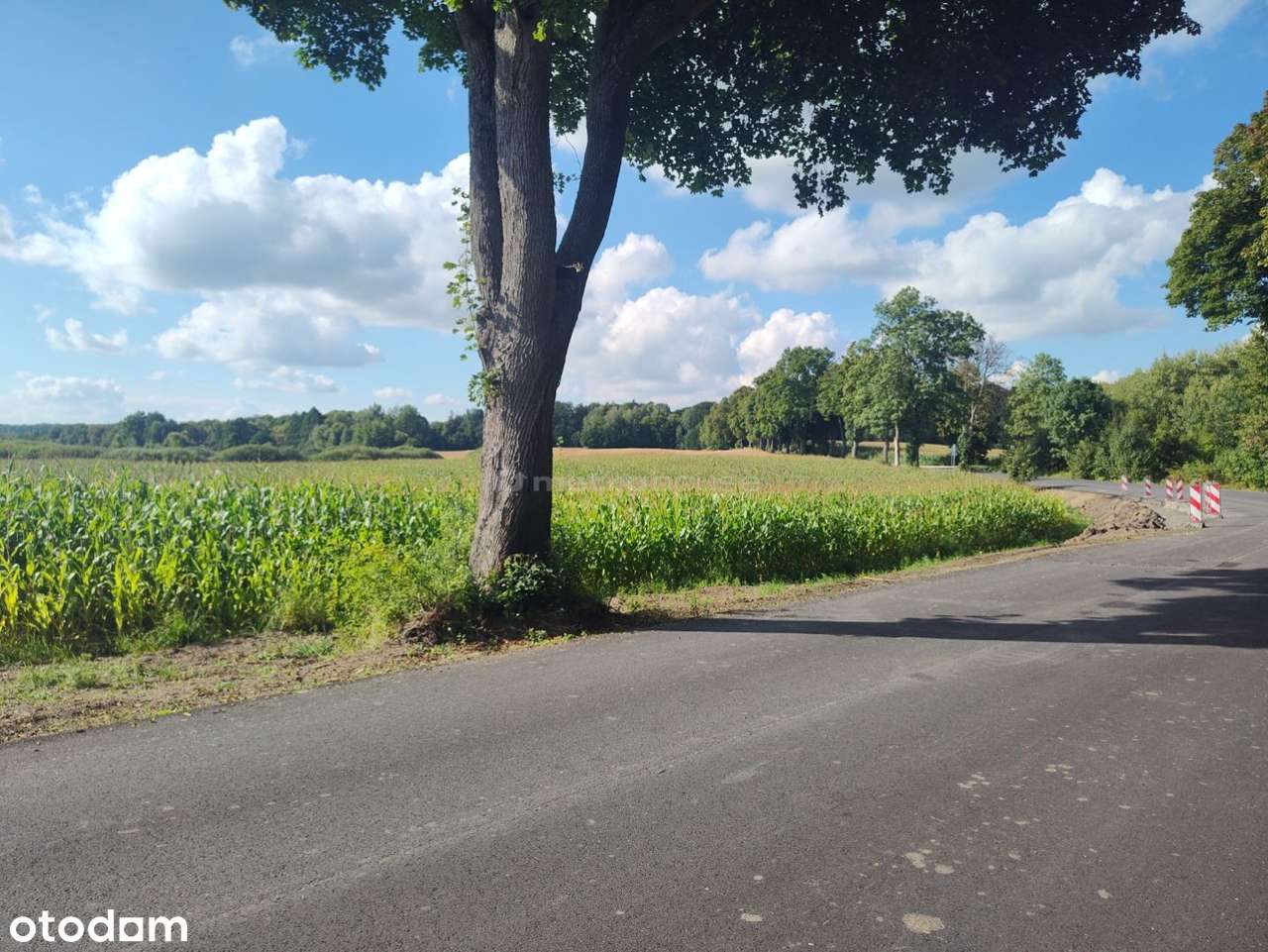 Działka rolna 3,08 ha w pobliżu lasu i jeziora. - Pełny obrazek: 4/7