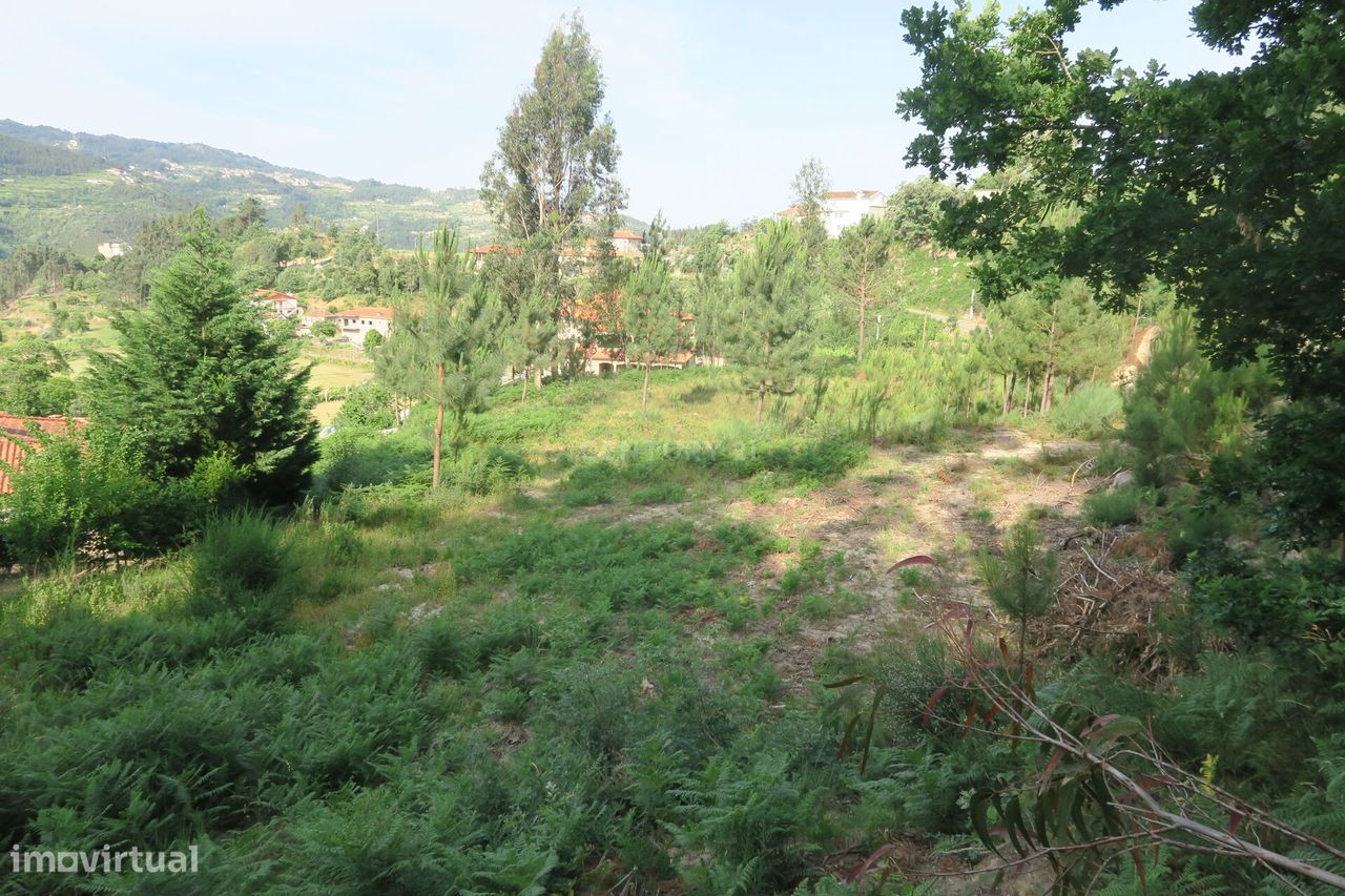 Terreno Rústico situado em Concela, Penha Longa e  Marco de Canaveses