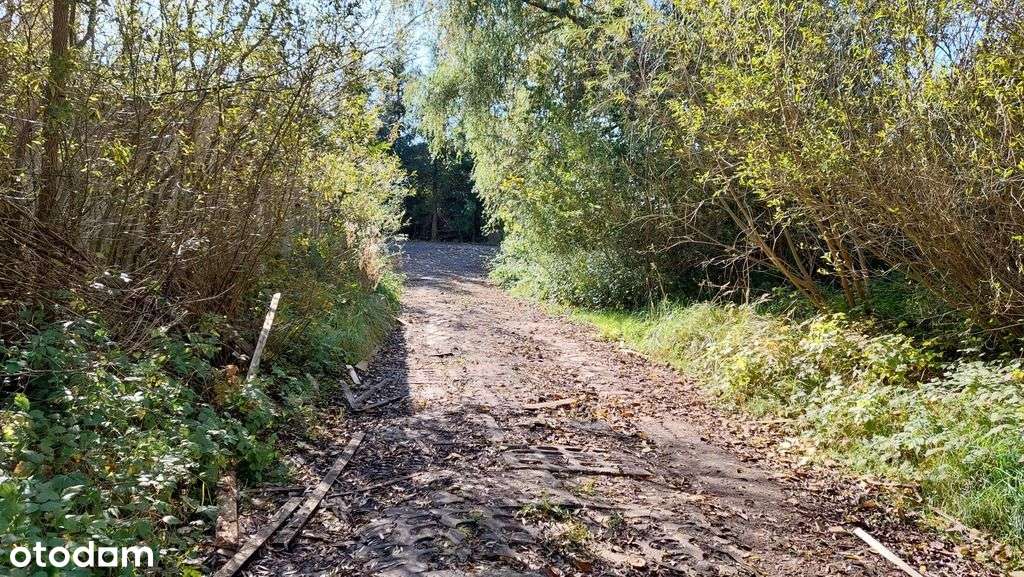 Działka z halą magazynową-7