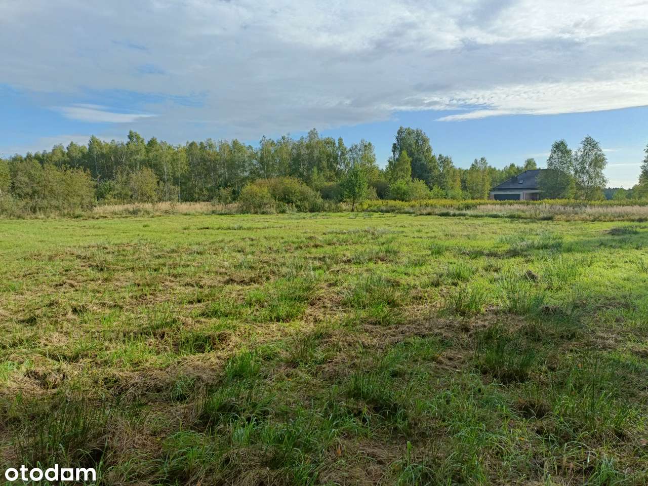 Działka 9,77a w świetnej lokalizacji, Jasionka - Pełny obrazek: 5/6