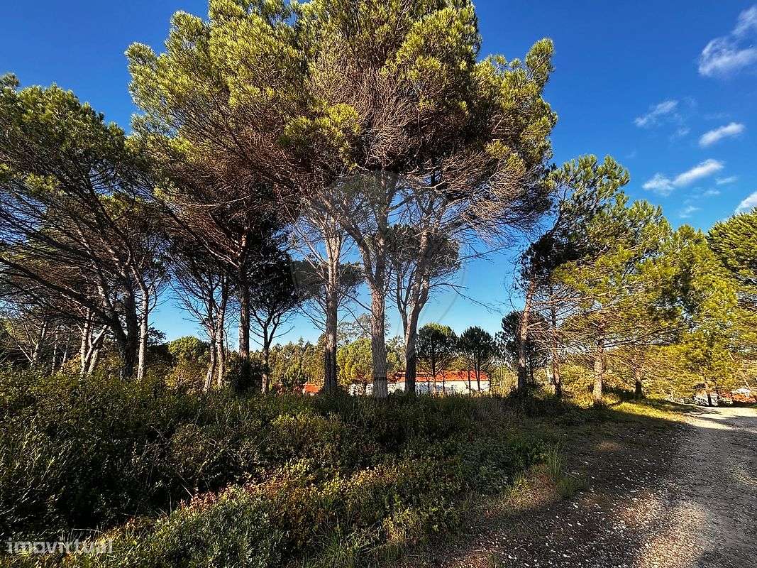 Terreno  para venda - Grande imagem: 3/6