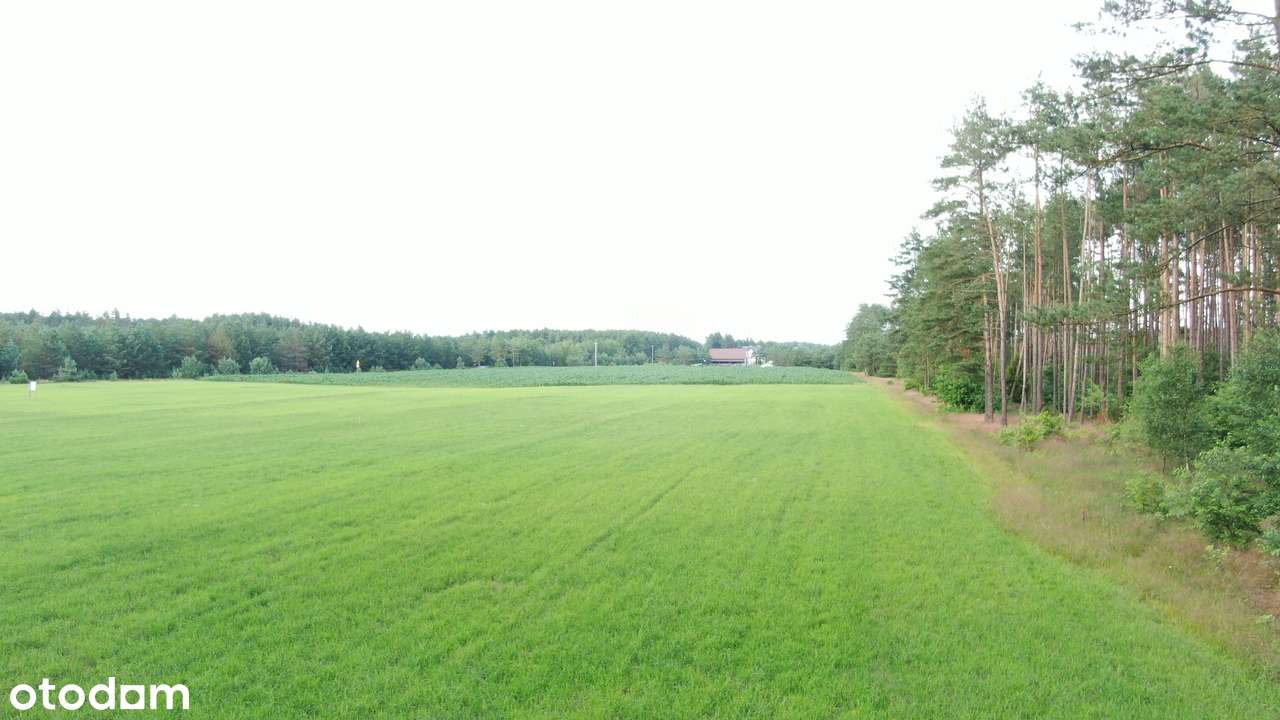 Działki pod lasem – Twój dom na Kaszubach - Pełny obrazek: 2/6