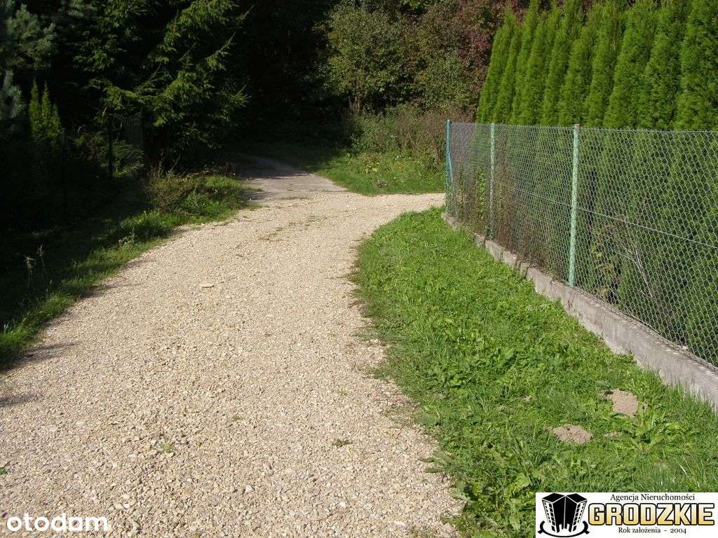 Sprzedam działke z lasem k.Przemysla-6