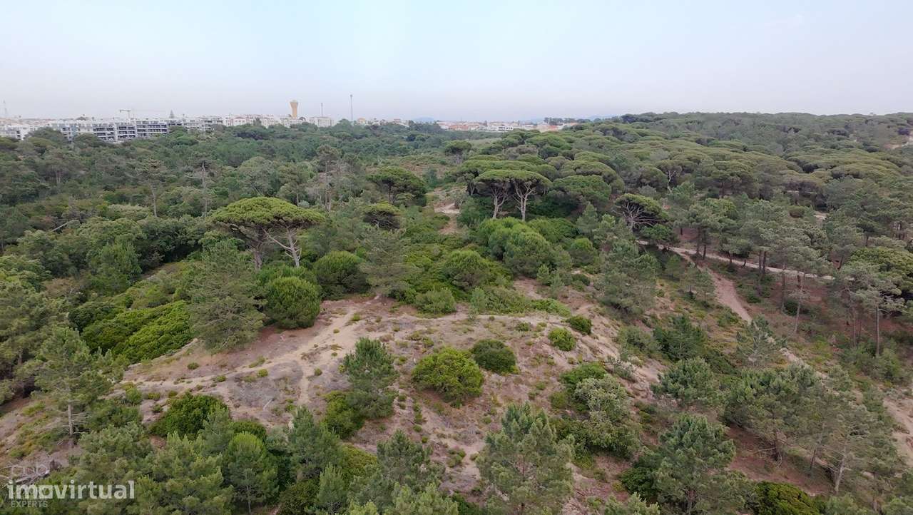 Terreno Rústico com Vista Mar e Potencial Ecológico-6