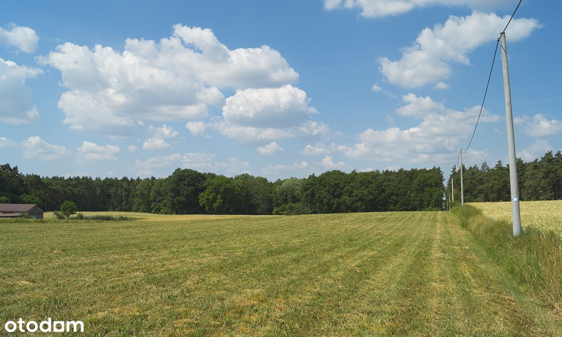 Działki budowlane - Kępa, k. Ślesina