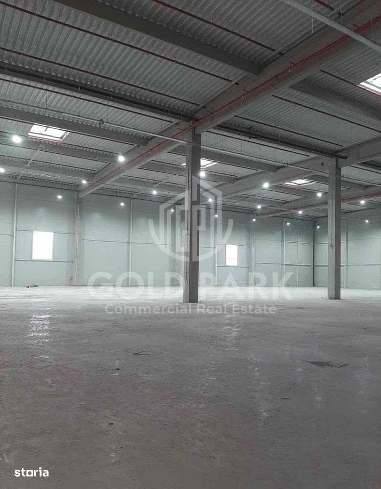 Spatiu Industrial -Zona Autostrazii A3 -10.000 mp Hala Depozitare - Imagine principală: 2/6