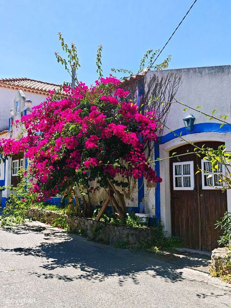 Quinta com muita privacidade, a 11 minutos do centro da Ericeira-49