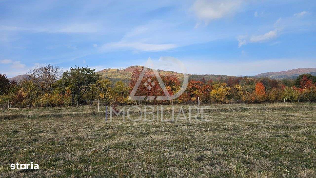 Teren intravilan – Crasna, Gorj - Imagine principală: 4/6