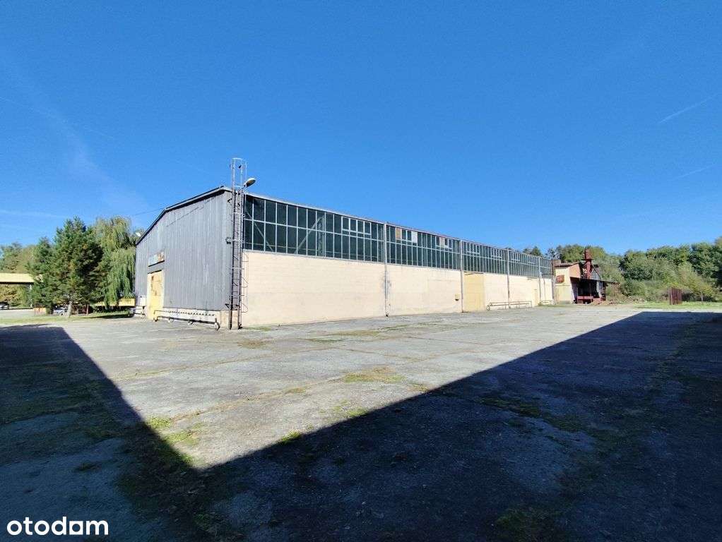 Zakład produkcyjno-magazynowy PU 5000m2 IGLOOPOL Brzesko-19