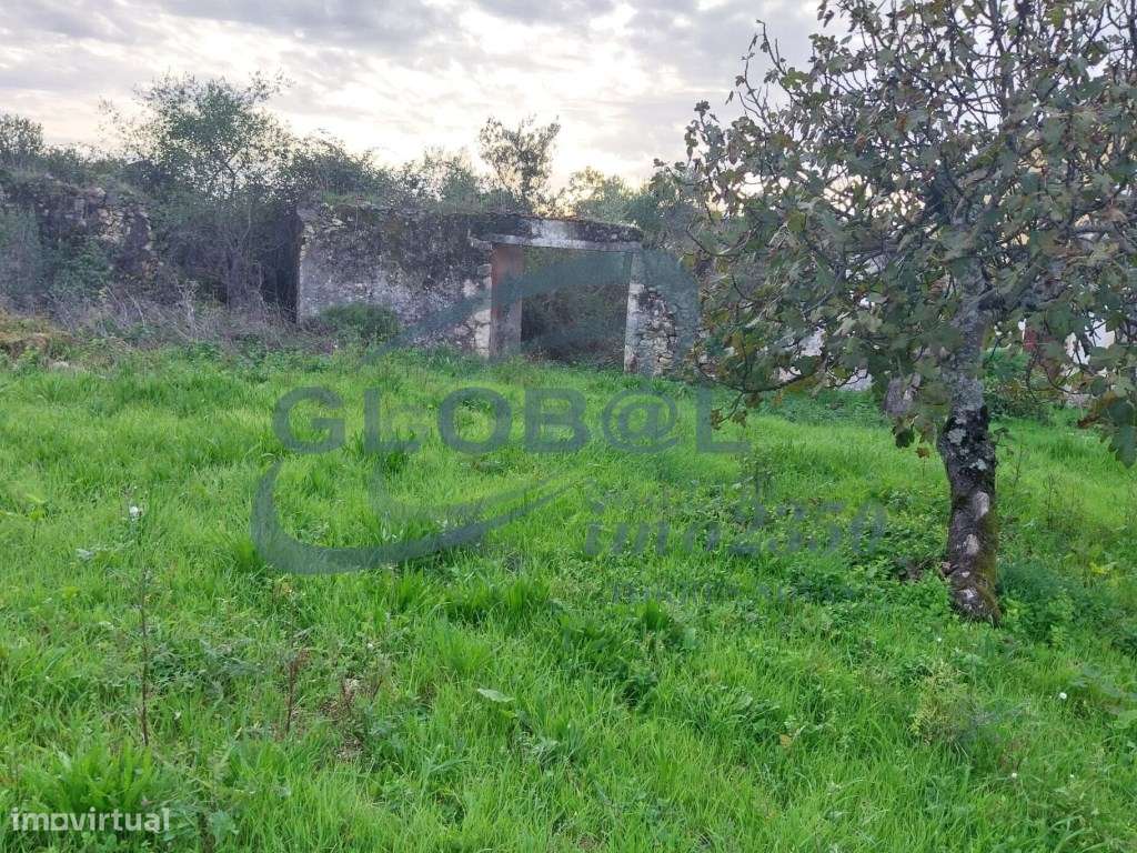 Terreno Venda Torres Novas - Grande imagem: 2/6