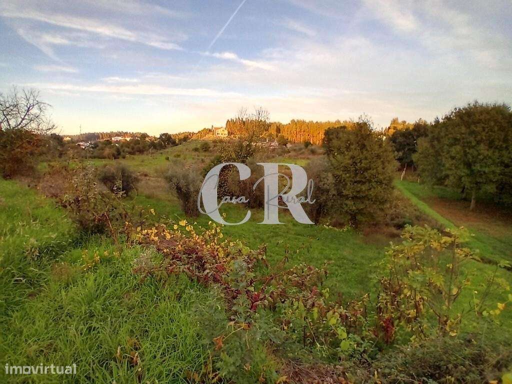 Moradia T3 com terreno pronta a habitar, logradouro e poço de água em-29