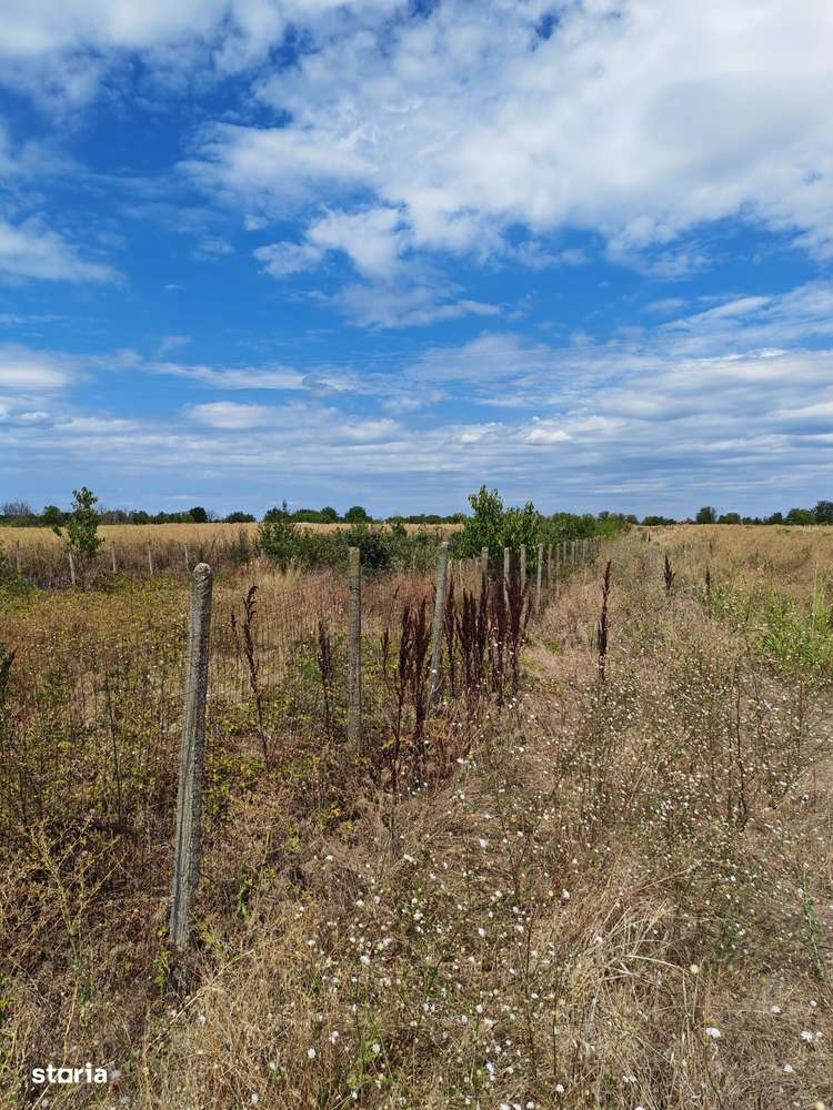 Teren intravilan Vidra Ilfov - Imagine principală: 5/7