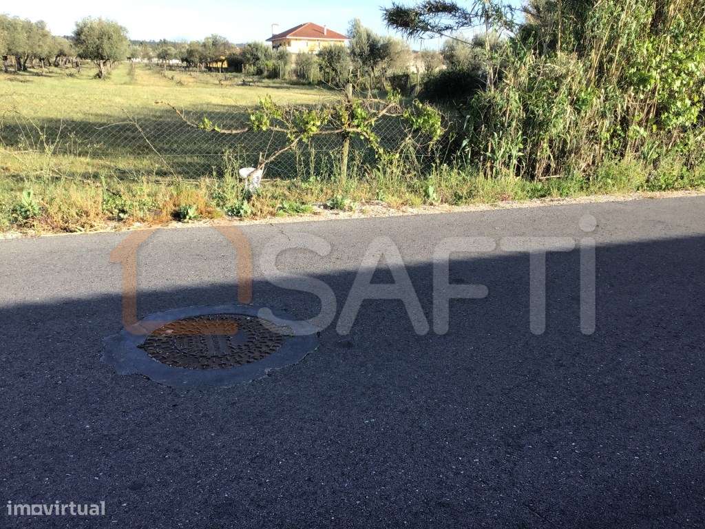 Terreno rústico na Zona Urbana com 6.800m2 em Fojo - Rossio ao Sul ... - Grande imagem: 3/14