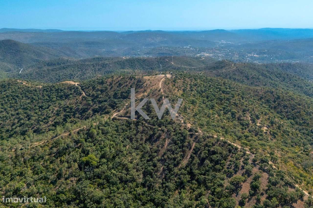 Terreno com 4750 m2 em Cepo, Querença, produção cortiça e medronhos - Grande imagem: 4/31
