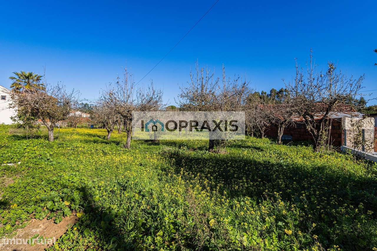 Moradia para reabilitação e terreno em Pedreiras, Porto de Mós-16