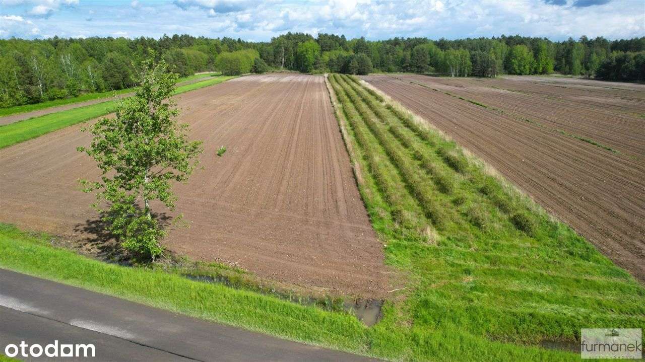 Działki rolno - leśne w gminie Księżpol - Pełny obrazek: 5/20