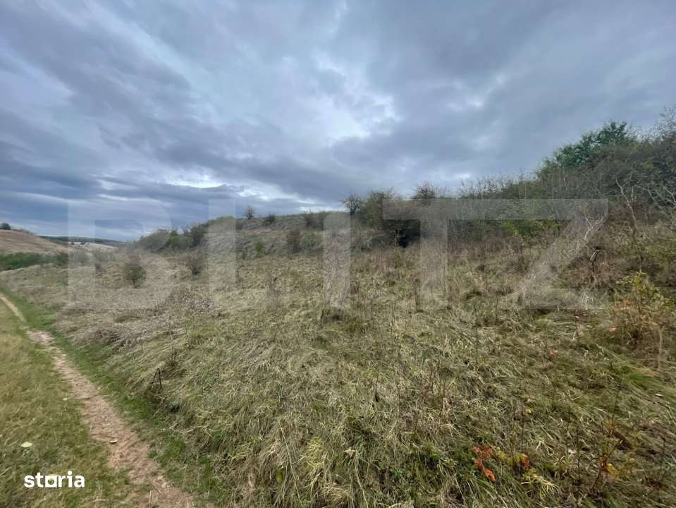 Teren Extravilan, 2800mp Perfect pentru Investitie - Imagine principală: 4/5