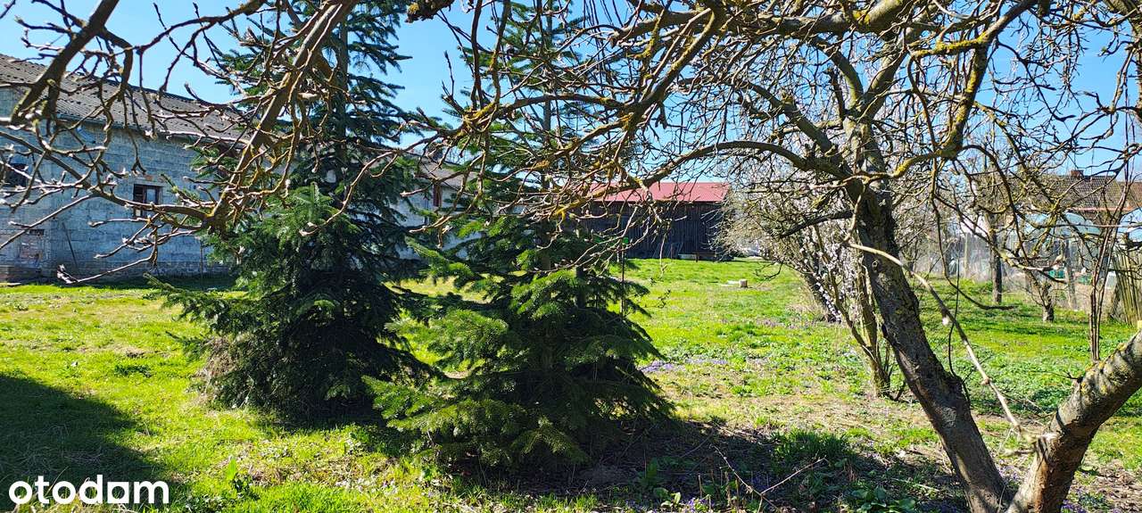 Dom, 96 m², Kłodzino-14