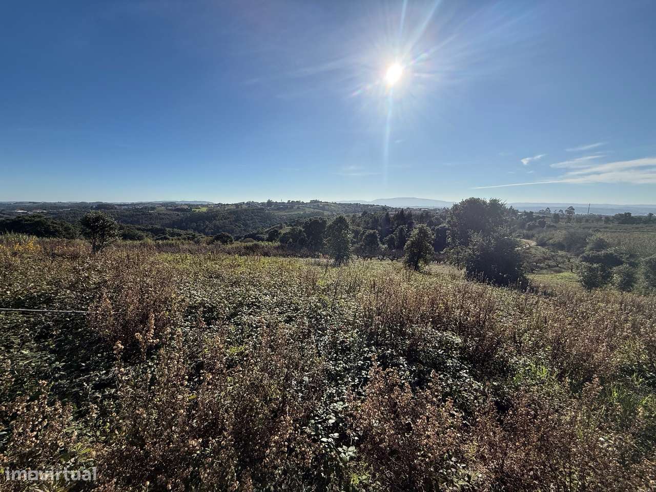 Terreno de 2.480m2 para construção - Usseira, Óbidos-14