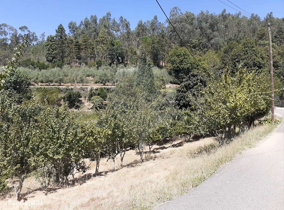 Terreno  para venda - Grande imagem: 2/4