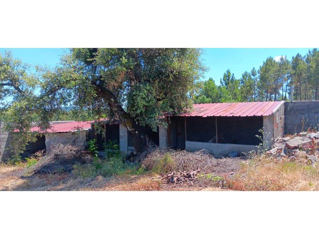 Vários Anexos para Recuperação com Terreno Venda Nova, Envendos-7