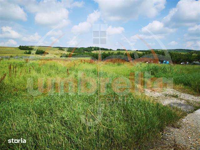 Teren de vanzare in Iclod   DN 1,  ICLOD 5.436 mp - Imagine principală: 5/5