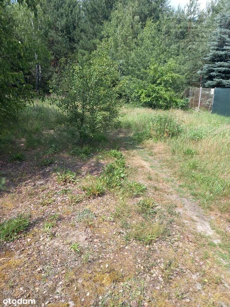 Działka budowlana 1118m2 Stara Wieś - Pełny obrazek: 4/5