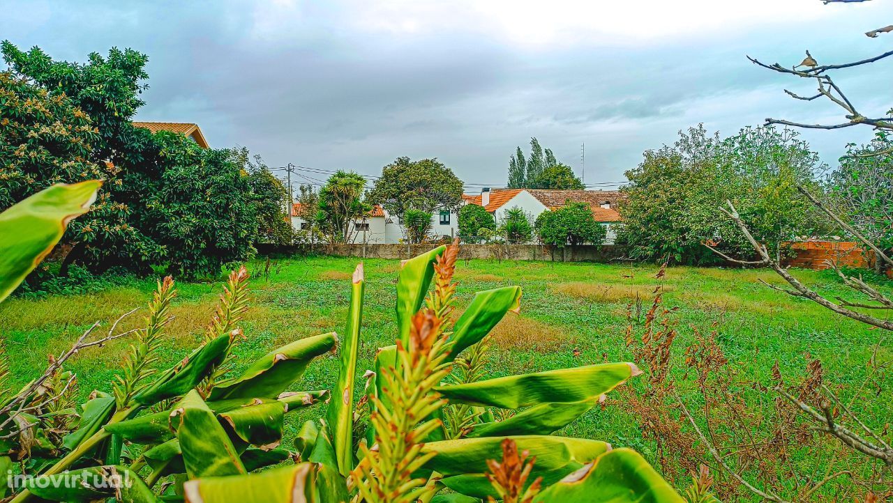 Terreno com capacidade de construção, moradias, Oliveirinha, Aveiro