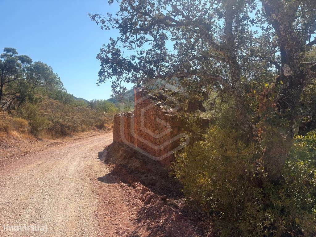 Moradia em ruína com terreno, Loulé, Algarve - Grande imagem: 5/22