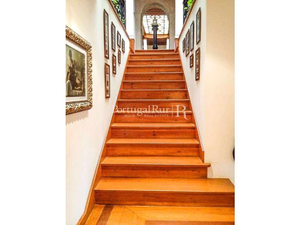 Excelente moradia na zona de Castelo Branco - Grande imagem: 5/17